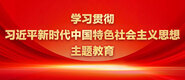 超逼视频网学习贯彻习近平新时代中国特色社会主义思想主题教育_fororder_ad-371X160(2)